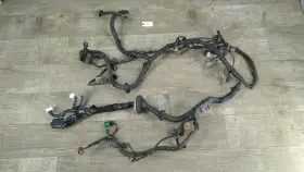 648.da1l05 05 Nissan Murano Engine Wire Wiring Harness