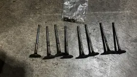 11341738218 Bmw 1738218 M42 M44 M50 M52 Engine Inlet Intake Valve Used Genuine
