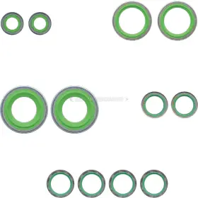 Ap-30631an Buyautoparts A/c System O-ring And Gasket Kit Csw