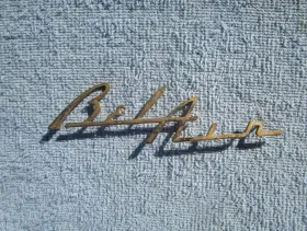 5556gold Chevrolet Parts Source 1955 1956 Belair Dash Speaker Grille Emblem Script Gold