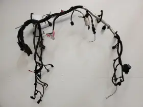648.gm8l10 Chevrolet Truck 2010 Equinox Engine Wire Harness