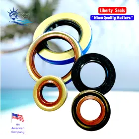 10x18x4sc-bx Dichtomatik Tcm Oil Seal 49383280 206254