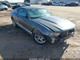 564.fd1f10 Ford Mustang 2010 Jack 6996205