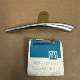 1711017 General Motors 1976-77 Nos Oem Olds Buick 2 Door Moulding Belt Reveal Chrome Trim Lh Gm