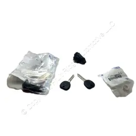 23234399 Gm Oem 2-key Ignition Lock Cylinder Kit