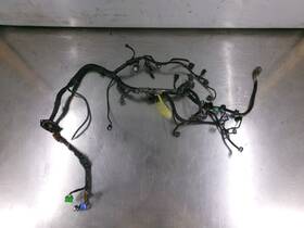 Honda 648.ho1b99 99 - 00 Civic Engine Wire Wiring Harness