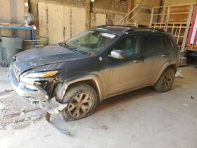 Jeep 524-00949 Stabilizer Bar Rear Off Road Suspension Opt Sdj Fits 14-18 Cherokee 1500113