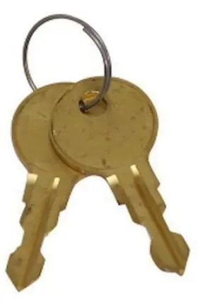 555-90098 Jegs 90098-2 Replacement Keys Fits Rooftop Cargo Carrier Key # 28