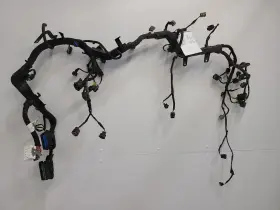 648.ki1116 Kia 2016 Sorento Engine Wire Harness 3.3l