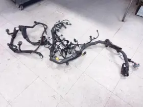 648.ki1l20 Kia Telluride 2020 Engine Wire Harness 880014