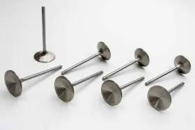11328-8 Manley 11328 8 Race Master 2 100 Intake Valve For Small Block Fits Chevy 11328-8 Manley 11328 8 Race Master 2 100 Intake Valve For Small Block Fits Chevy