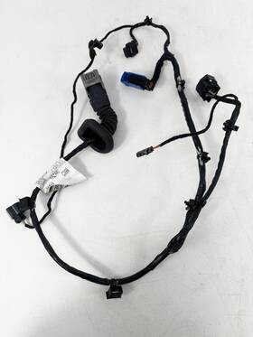 Maserati 06700086060 2014 - 2024 Ghibli Rear Left Door Wire Wiring Harness Oem