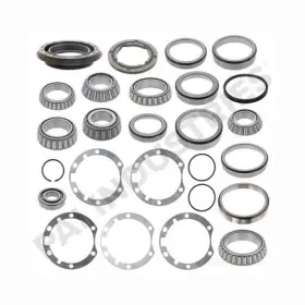 920026 Pai Seal And Bearing Kit For Eaton