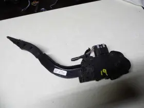 234.gm2406 Pontiac 06 - 09 Torrent Gas Throttle Accelerator Pedal 15222244