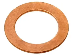G1243 Raybestos Brakes Banjo Washer P N