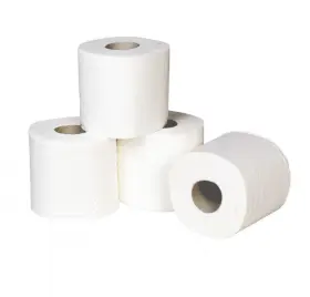 Sudbury 817747018249 824 Toilet Tissue 2 Ply 4 Roll Pack