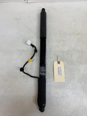 1063440-01-f Tesla 1063440-01-c 21-24 Model X Door Strut Shock 16107 U21
