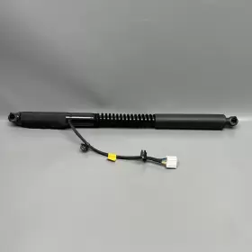 1063440-01-f Tesla Model X Door Strut Shock Rear 2016 2017 2018 2019 20 2021 Oem