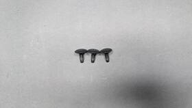 Tesla 1755692-00-a Model S 3 X Y Door Lock Bolts Oem
