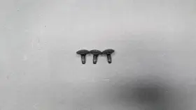 1755692-00-a Tesla Model S 3 X Y Door Lock Bolts Oem