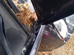 Volkswagen 118.vw1k07 Jetta 2007 Hood Hinge 3761193
