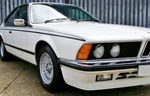 Bmw Series E24 Shark 635 Csi 633 Side Stripes New. Price: $169.00.