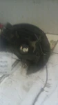 07-10 Bmw X3 Driver Left Front Spindle/knuckle Used. Price: $120.00.