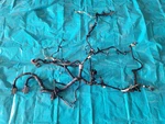 2016-2018 Dodge Grand Caravan 3.6L Engine Wire Harness With Ecm 68236867AE Used. Price: $169.85.
