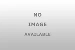 Dorman 938387 Front Driveshaft Reliable Performance New. Price: $1151.99.