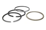 Hastings Piston 2C4651 Cylinder Set New. Price: $95.89.
