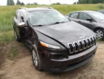 Cherokee 2016 Engine Cover 2124837 Used. Price: $98.89.