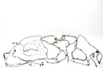 2016 Jeep Wrangler 3.6L 4WD Rear Body Wiring Harness 68274272AC Used. Price: $132.53.