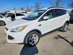 Driver Rear Suspension Without Crossmember 2WD Fits 13-16 Escape 5392283 Used. Price: $462.50.