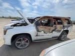Engine Cover Oem 2016 Cadillac Escalade Used. Price: $100.00.
