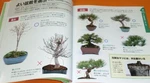 Bonsai Beginner's Book From Japanese #0452 Used. Price: $114.00.