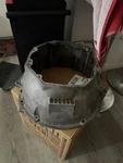 Dodge Challenger TR6060 Speed Manual Transmission Bell Housing 68271180AA Hemi Remanufactured. Price: $400.00.