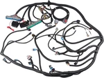Engine Wiring Harness Professional Standalone With 4L60E Transmis. Price: $161.00.