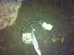 1998 Expedition Right Body Sensor Used. Price: $60.47.