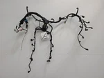 2015 Mini Countryman Engine Wiring Harness 1.6L Fwd Aod 8605900-01 Used. Price: $188.80.