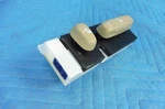 Lexus GS300 GS350 GS430 Front Passenger Seat Position Switch Tan: LA03 06-09 Oem Used. Price: $35.00.