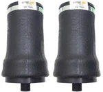 Pair Replaces Link 1102-0020 1102-0023 Spring Cabin Sleeper Bag Kenworth New. Price: $73.98.
