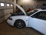 Header Panel Gt Fits 01-04 Mustang 2105406 Used. Price: $165.00.