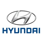 Genuine Hyundai Multi Fuse 18980-09625 New. Price: $20.64.