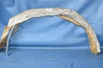 Nos 1982-93 Chevy S-10 Truck Lh Rear Wheel Lip Molding Edge Trim 14033613 Gmc New. Price: $200.00.