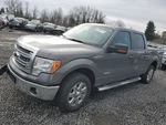 Right Front Wiper Arm Oem 2009 Ford F150 9L3Z17526A Used. Price: $75.00.