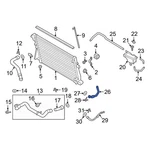 Ford F-450 Super Duty 2017-2025 HC3Z8260E Upper Radiator Coolant Hose New. Price: $184.18.