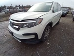 Pilot 2019 Engine Cover 11775694 Used. Price: $96.02.