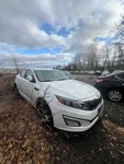 2014-2015 Kia Optima 774 Liftgate Hatch Tailgate Oem Used. Price: $165.00.