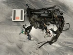 1991 1992 Toyota MR2 SW20 Turbo 3SGTE Engine Wiring Harness Usdm W/ Ecu Used. Price: $699.00.