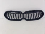 21 22 23 2020-2024 Bmw Series F44 5A39372 Grille Oem Used. Price: $171.00.